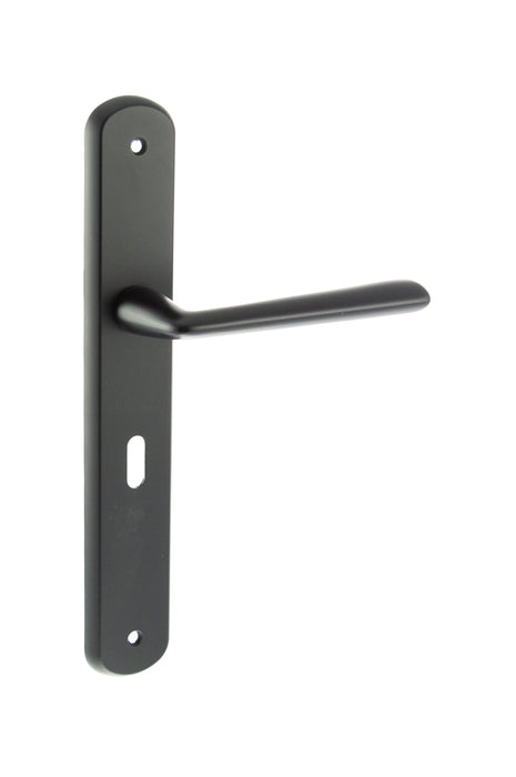 LIMITED EDITION Forme Brigette Solid Brass Key Lever Door Handle on Backplate - Matt Black