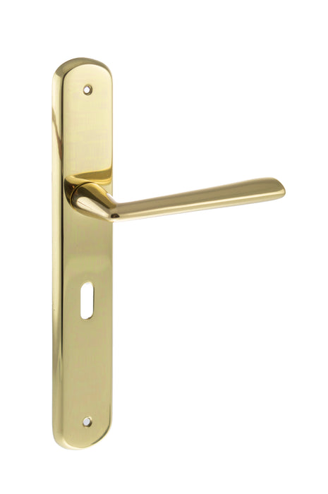 LIMITED EDITION Forme Brigette Solid Brass Key Lever Door Handle on Backplate - Polished Brass