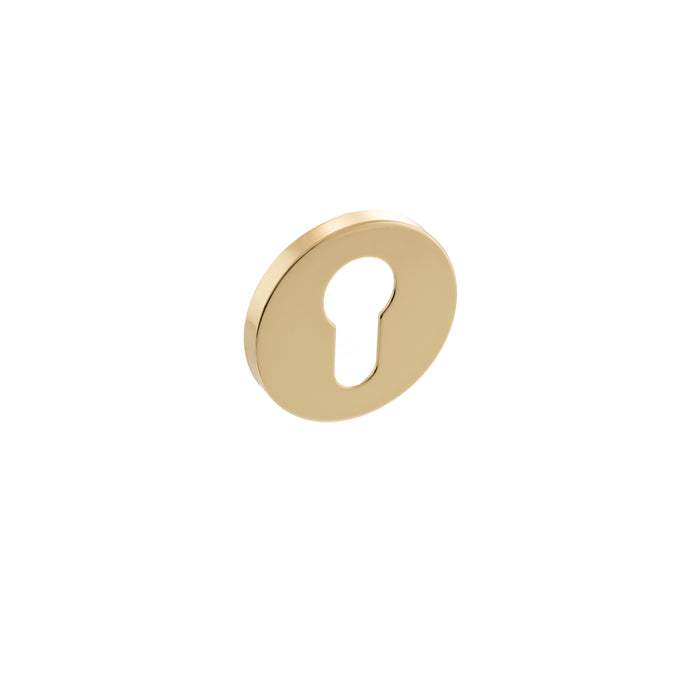 Millhouse Brass Euro Escutcheons on 5mm Slimline Round Rose - Polished Brass