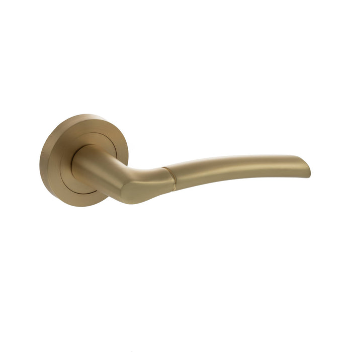 STATUS Indiana Lever Door Handle on Round Rose - Satin Brass