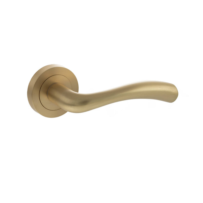 STATUS Texas Lever Door Handle on Round Rose - Satin Brass