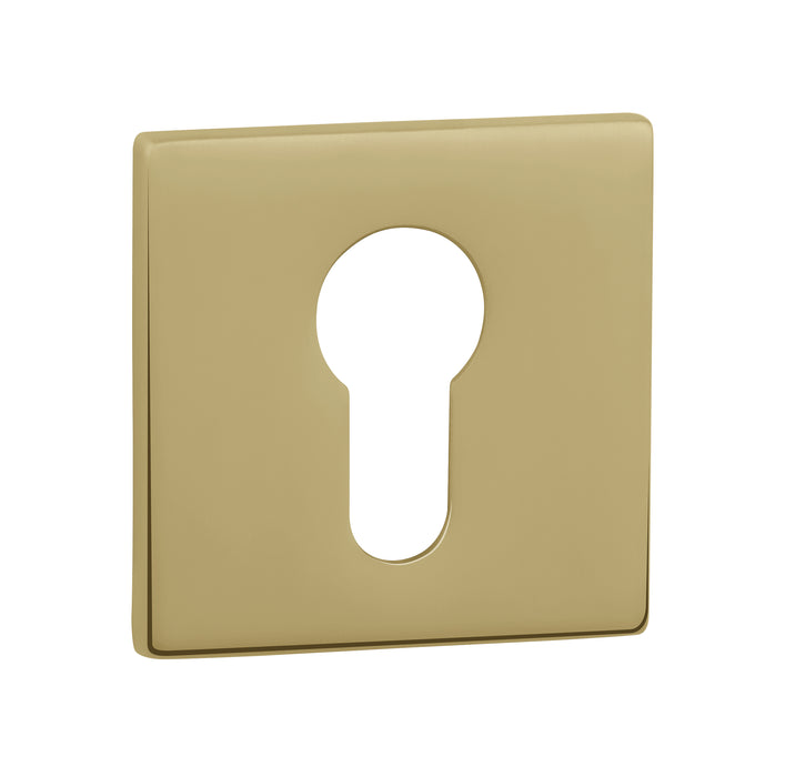 Tupai Exclusivo 5S Line Euro Escutcheons on 5mm Slimline Square Rose - Raw Brass